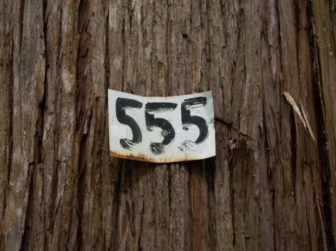 エンジェルナンバー555のツインレイに関するその他の意味は? エンジェルナンバー555のツインレイに関するその他の意味は?