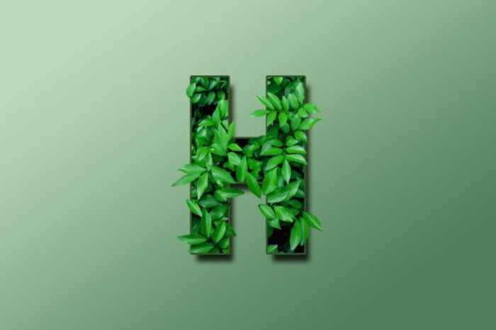 「H」と「F」のイニシャルを持つ二人の相性 「H」と「F」のイニシャルを持つ二人の相性